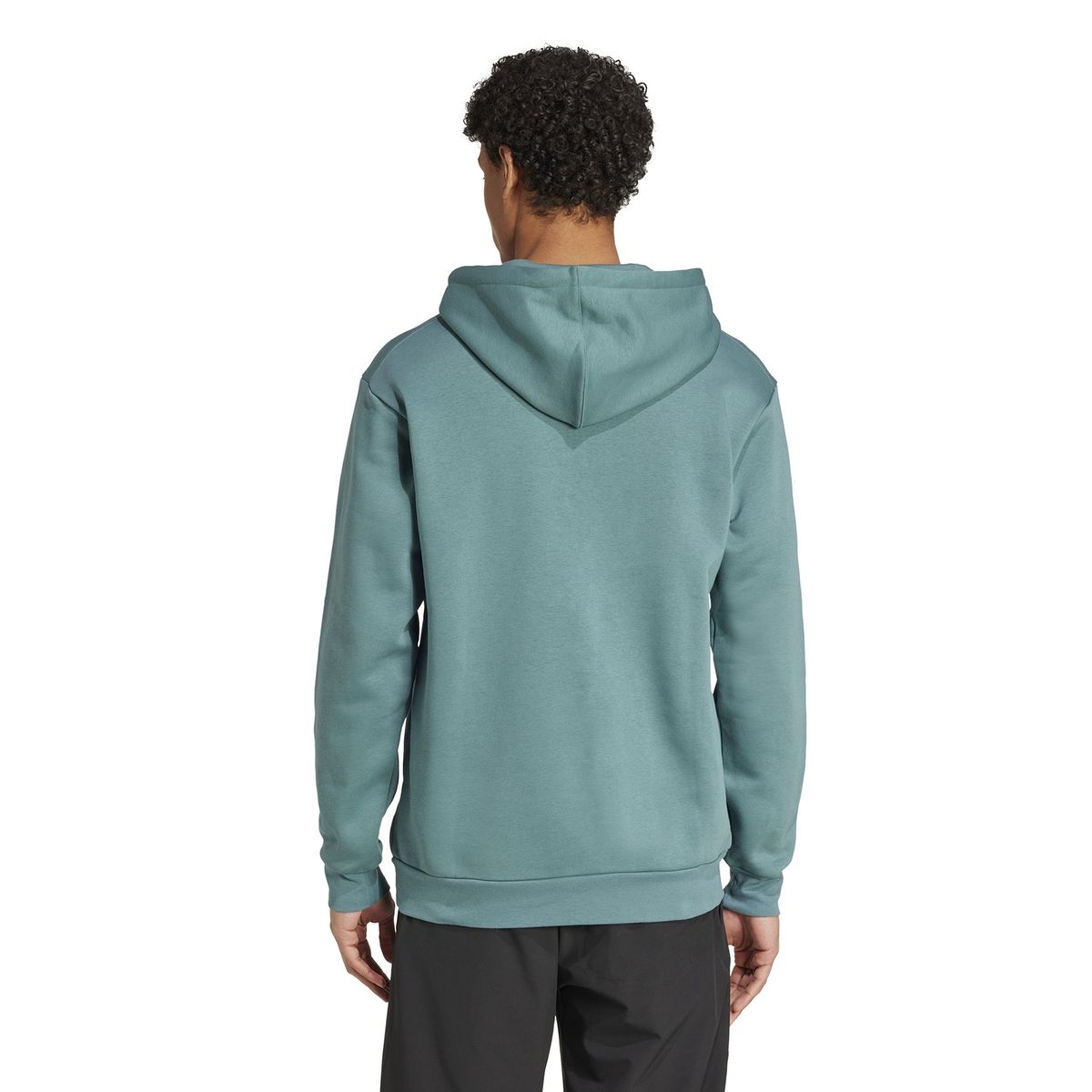 ADIDAS - Polera Senderismo Hombre Adidas Terrex  Large Logo