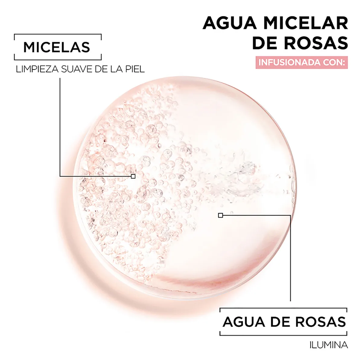 GARNIER - Agua Micelar De Rosas 400ml Garnier