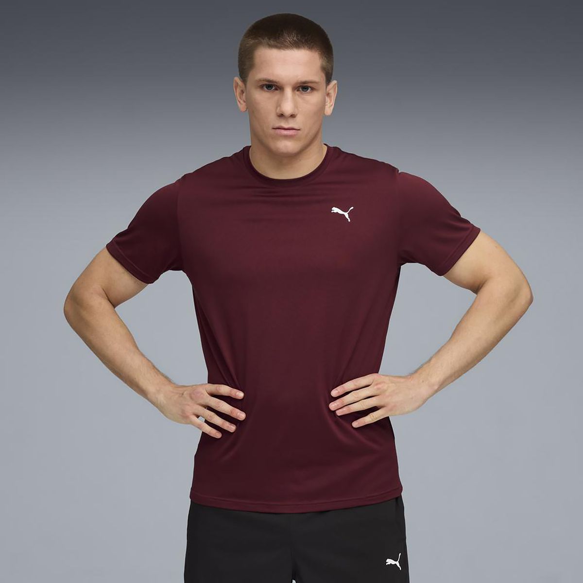 PUMA - Polo Deportivo Hombre M Tad Essentials Solid Cat Tee (lc Small Cat)