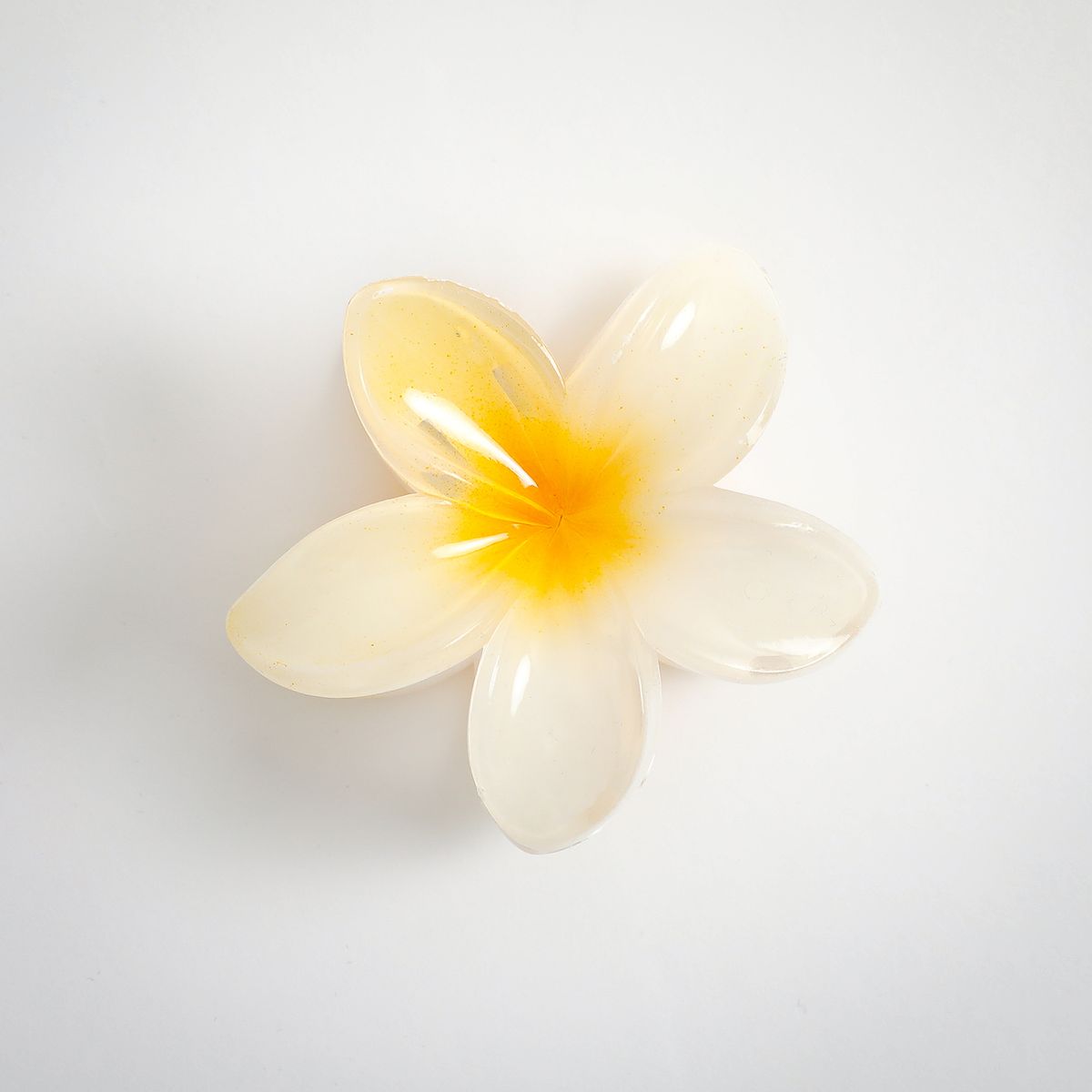 SYBILLA - Gancho Flor Hawaiana Mujer Sybilla