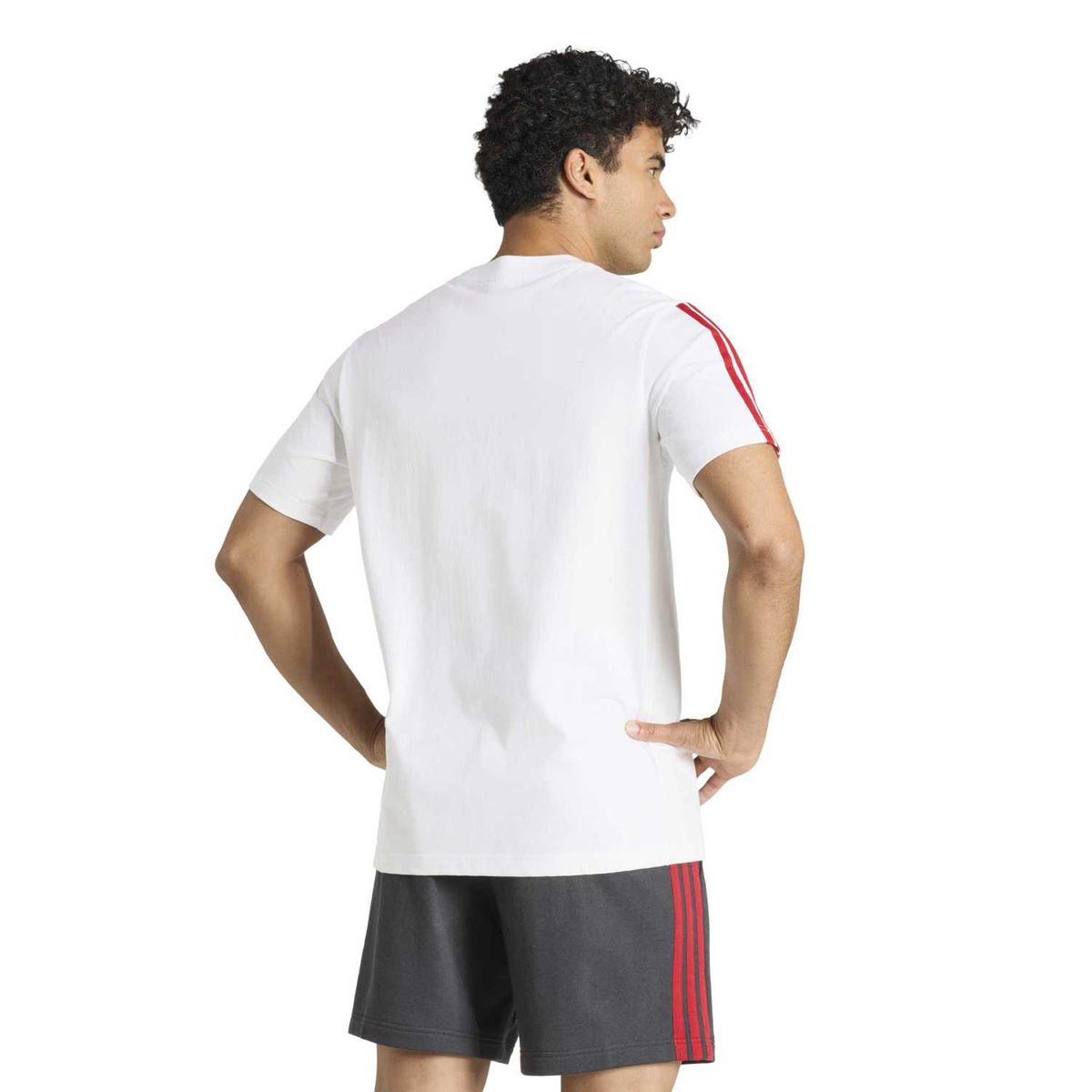ADIDAS - Polo cdeportivo hombre Adidas ADN Perú