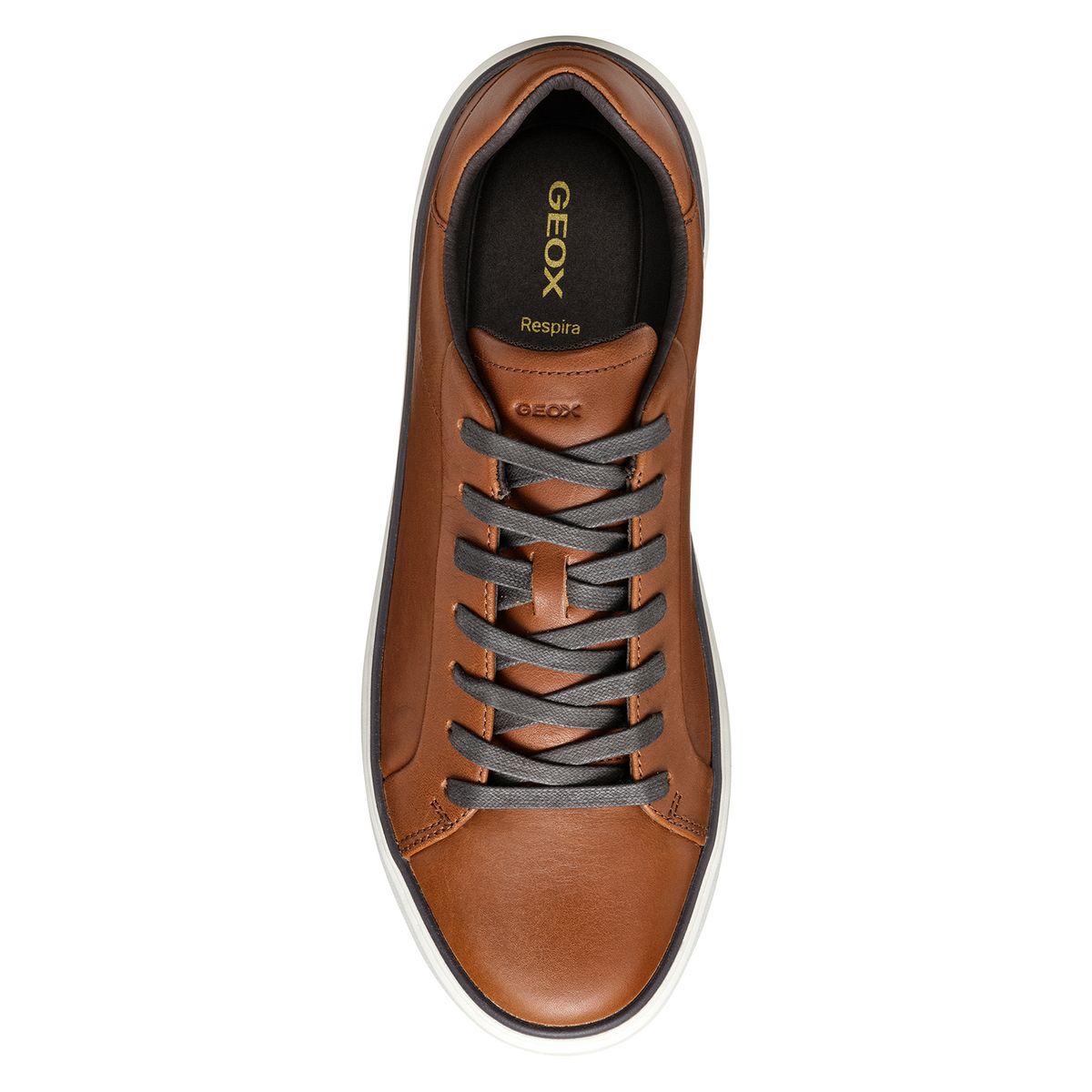 GEOX - Zapatillas Urbanas Hombre Geox
