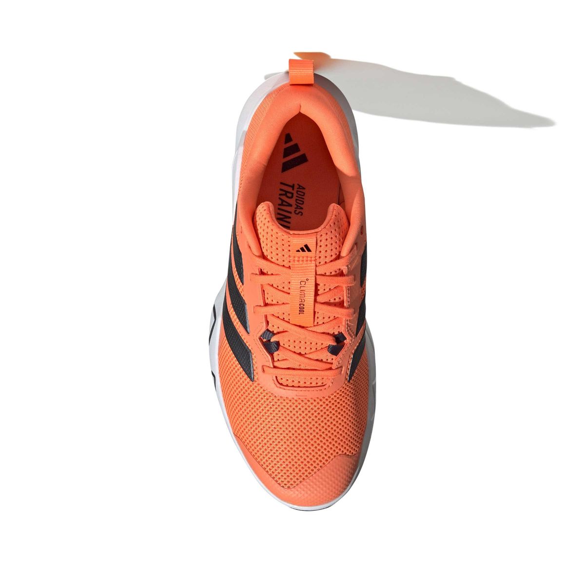 ADIDAS - Zapatillas Training Hombre Adidas Rapidmove Go Trainer