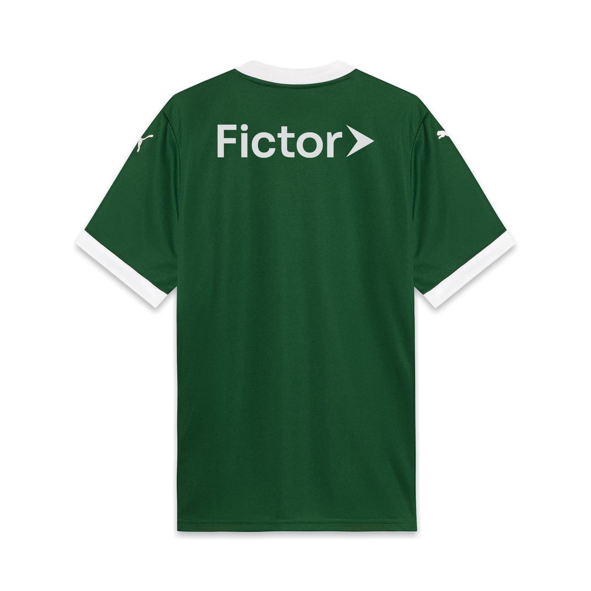 PUMA - Camiseta Palmeiras Puma