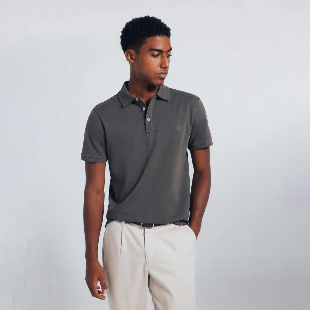 SPRINGFIELD - Polo 100% Algodón Regular Fit Hombre Springfield