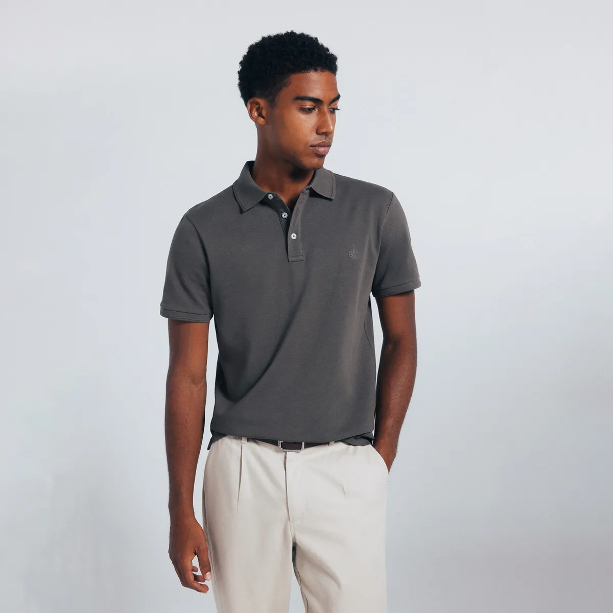 SPRINGFIELD - Polo 100% Algodón Regular Fit Hombre Springfield