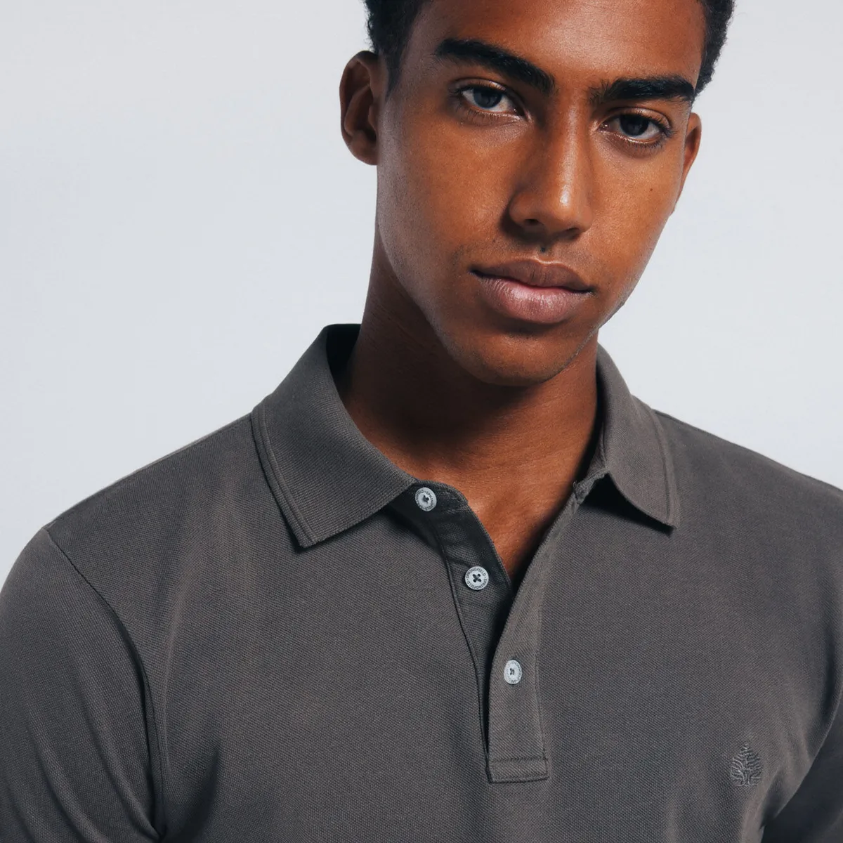 SPRINGFIELD - Polo 100% Algodón Regular Fit Hombre Springfield