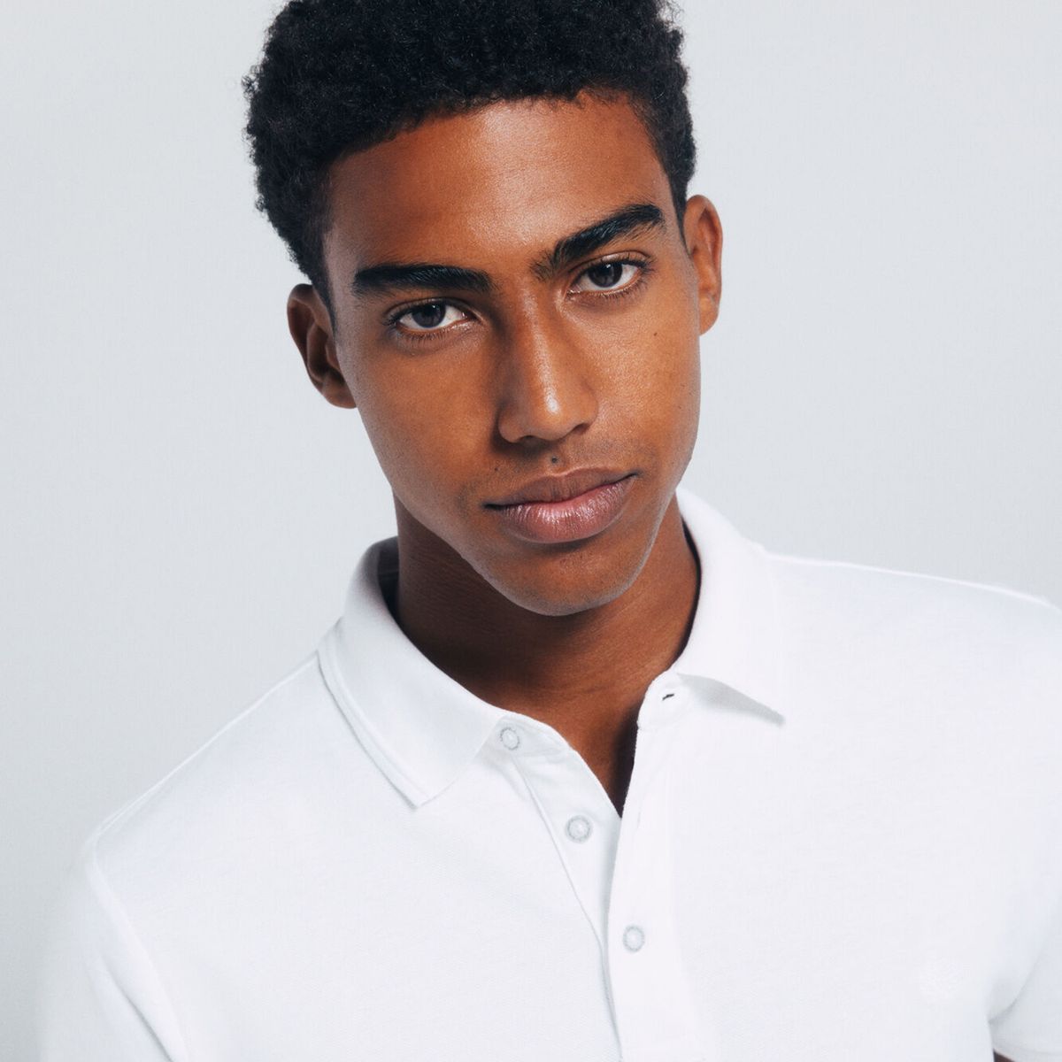 SPRINGFIELD - Polo 100% Algodón Regular Fit Hombre Springfield