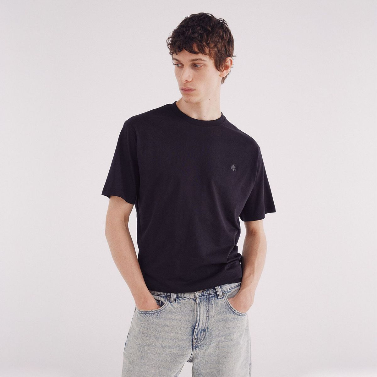 SPRINGFIELD - Polo 100% Algodón Regular Fit Hombre Springfield