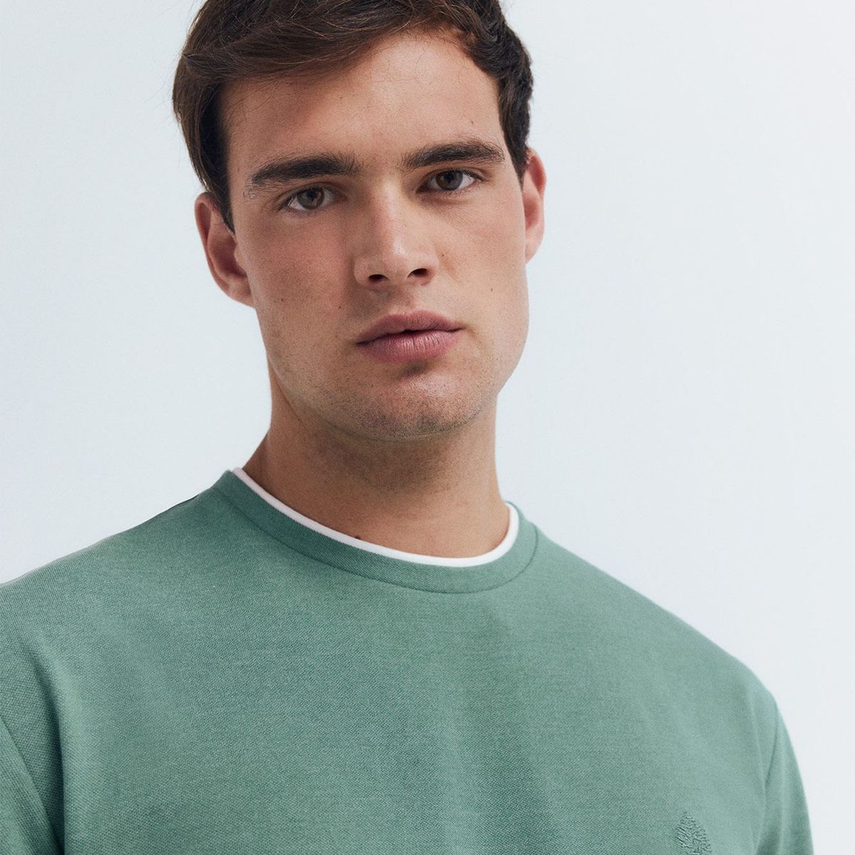 SPRINGFIELD - Polo Algodón Regular Fit Hombre Springfield