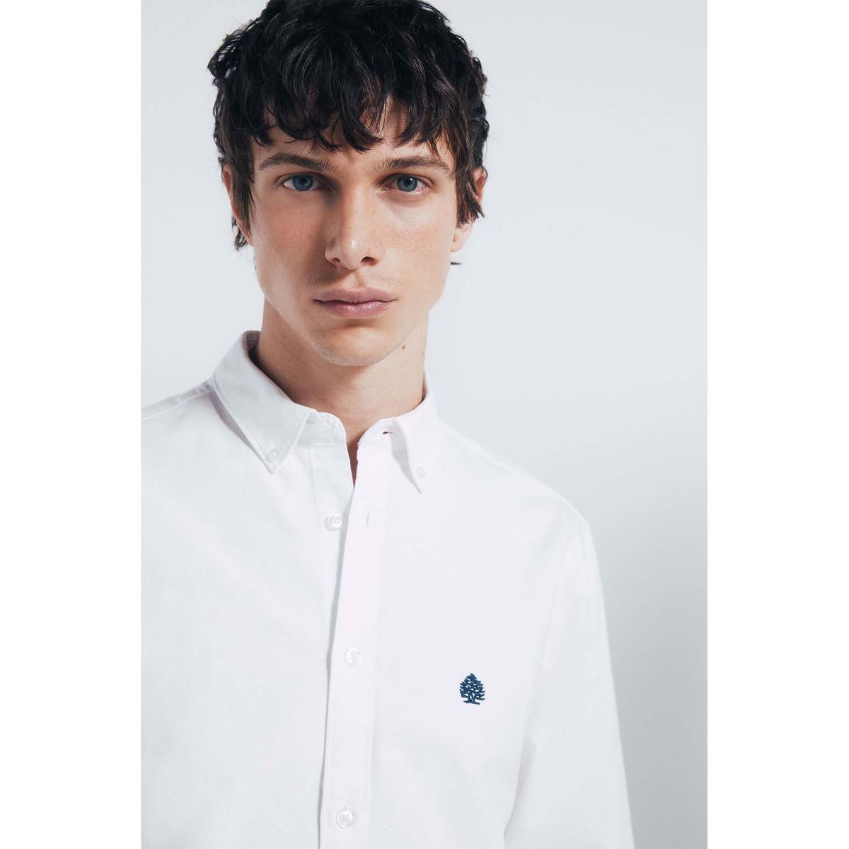 SPRINGFIELD - Camisa Manga larga Algodón Hombre Springfield