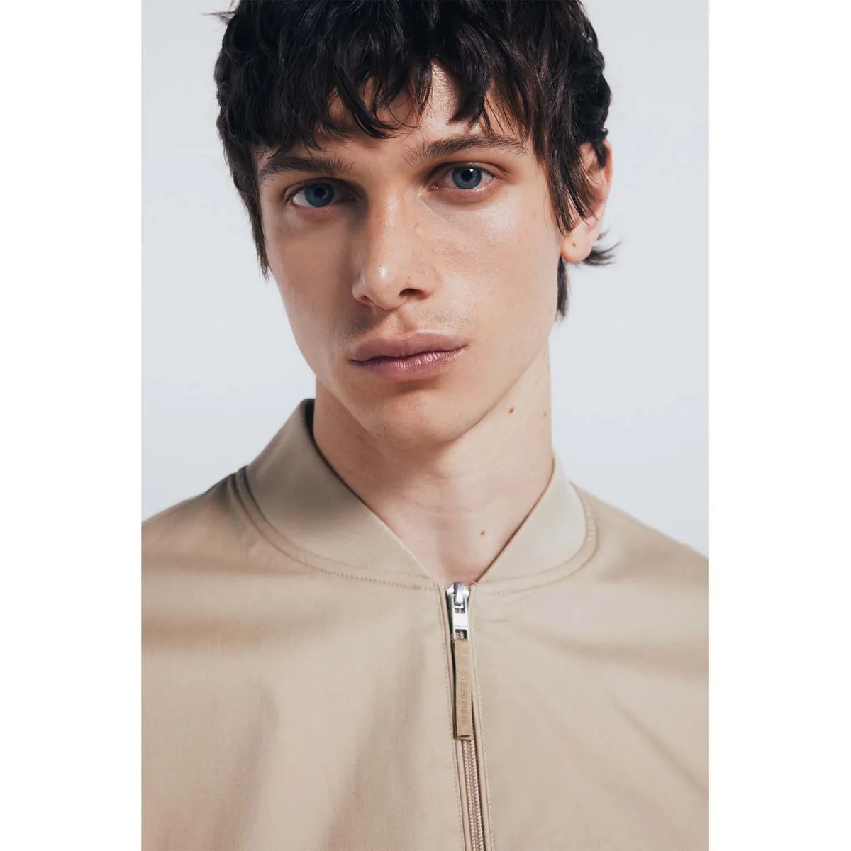 SPRINGFIELD - Casaca Hombre Springfield