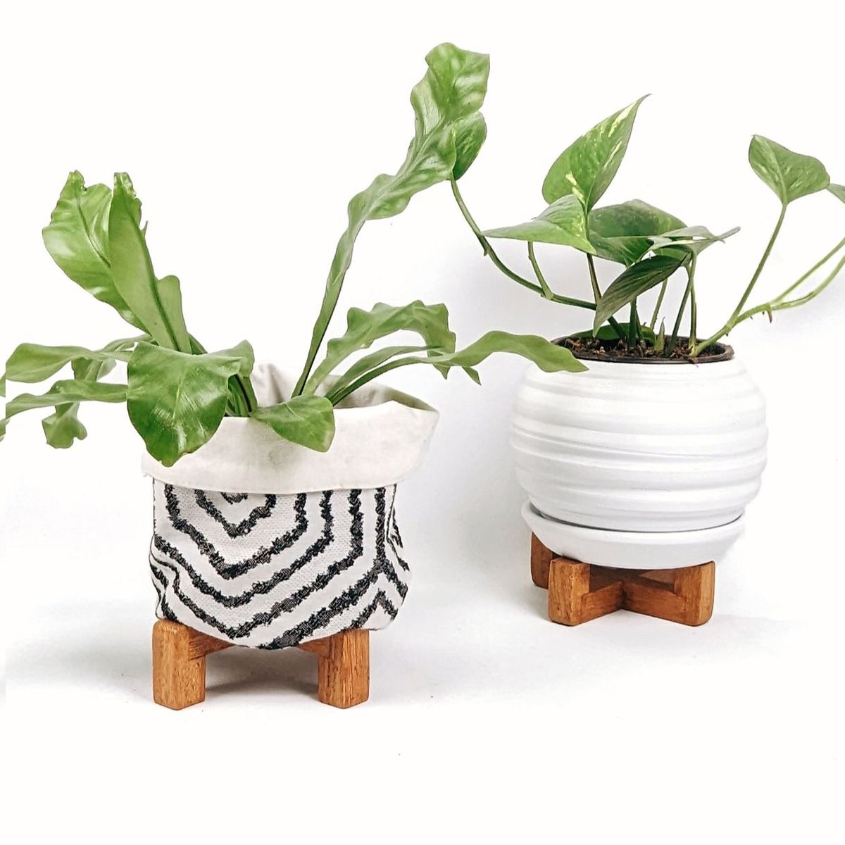 UN CUARTO VERDE - Parante en cruz de Madera UN CUARTO VERDE para Plantas y Macetas hasta 14cm