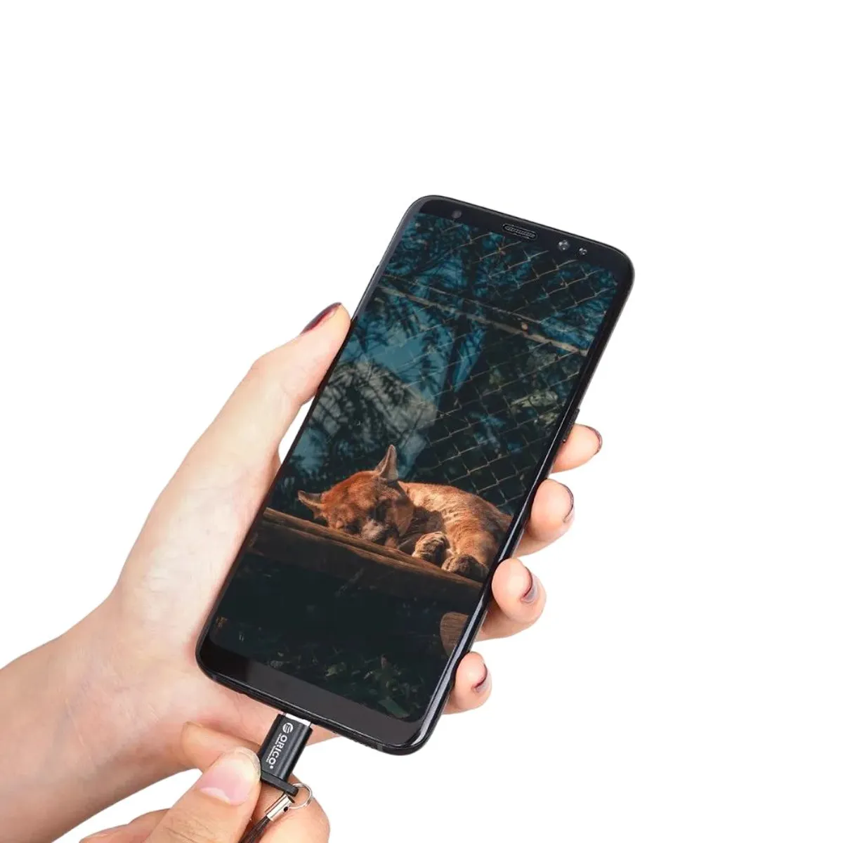 UGREEN - Mini Adaptador Usb Tipo C - Micro Usb Otg Metalico Android