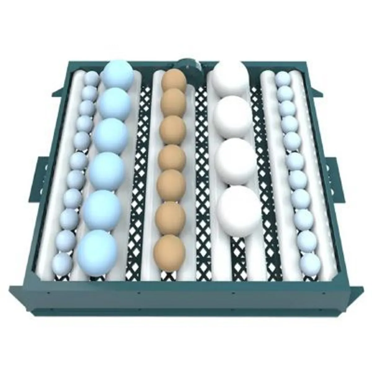 GENERICO - Incubadora Verde Automática De 192 Huevos 220V