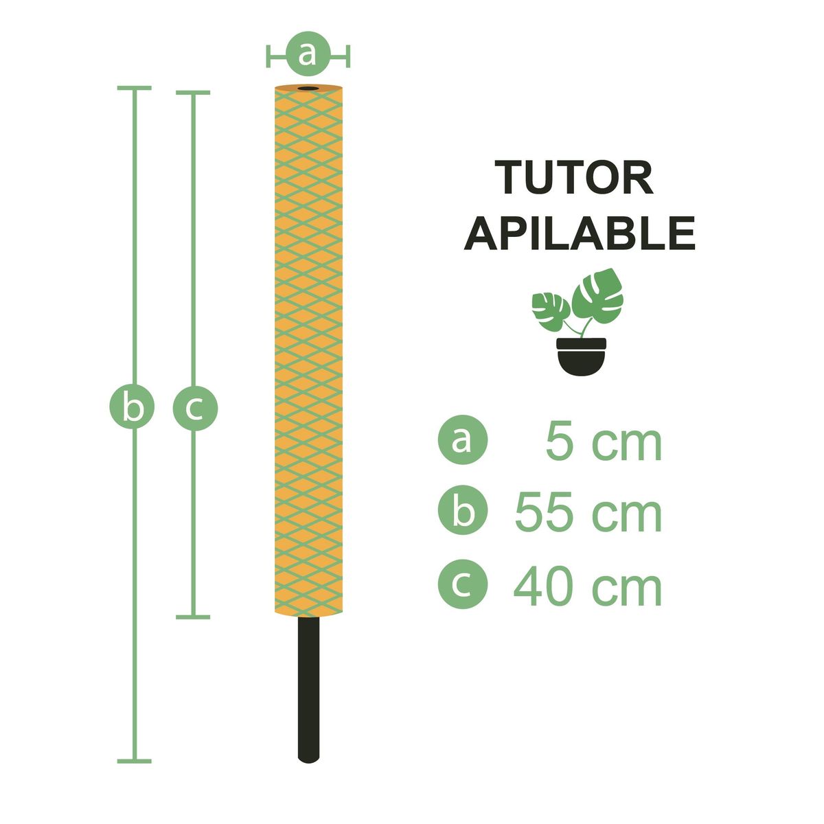 UN CUARTO VERDE - Tutor de musgo Apilable para plantas UN CUARTO VERDE parante tutor 55cm