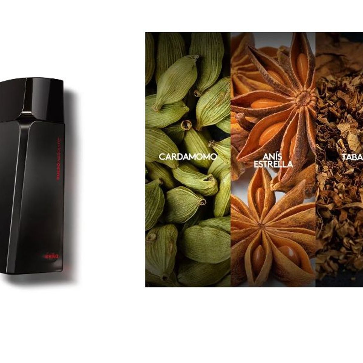 ESIKA - Pulso Absolute Perfume de Hombre Esika