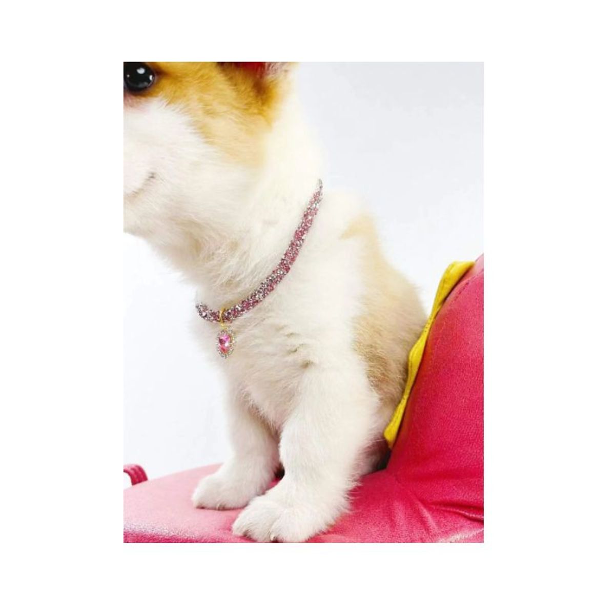 GENERICO - Collar para mascotas con diseño de diamante de imitación