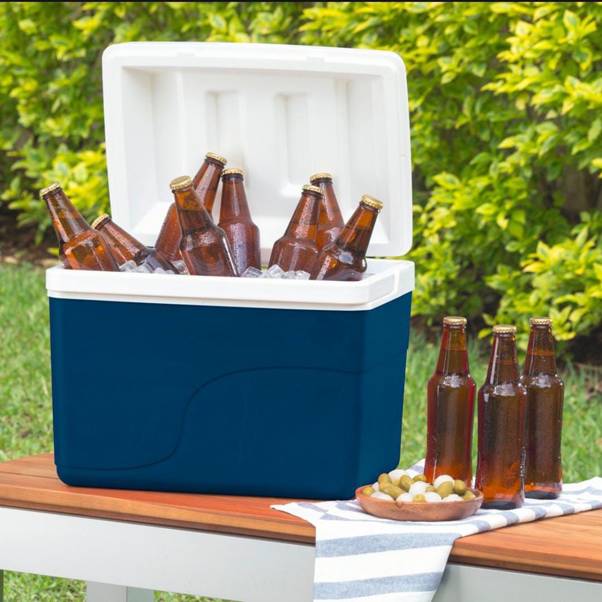 DISA SOLUCIONES ECOEFICIENTES - COOLER AZUL DE 42 LTS