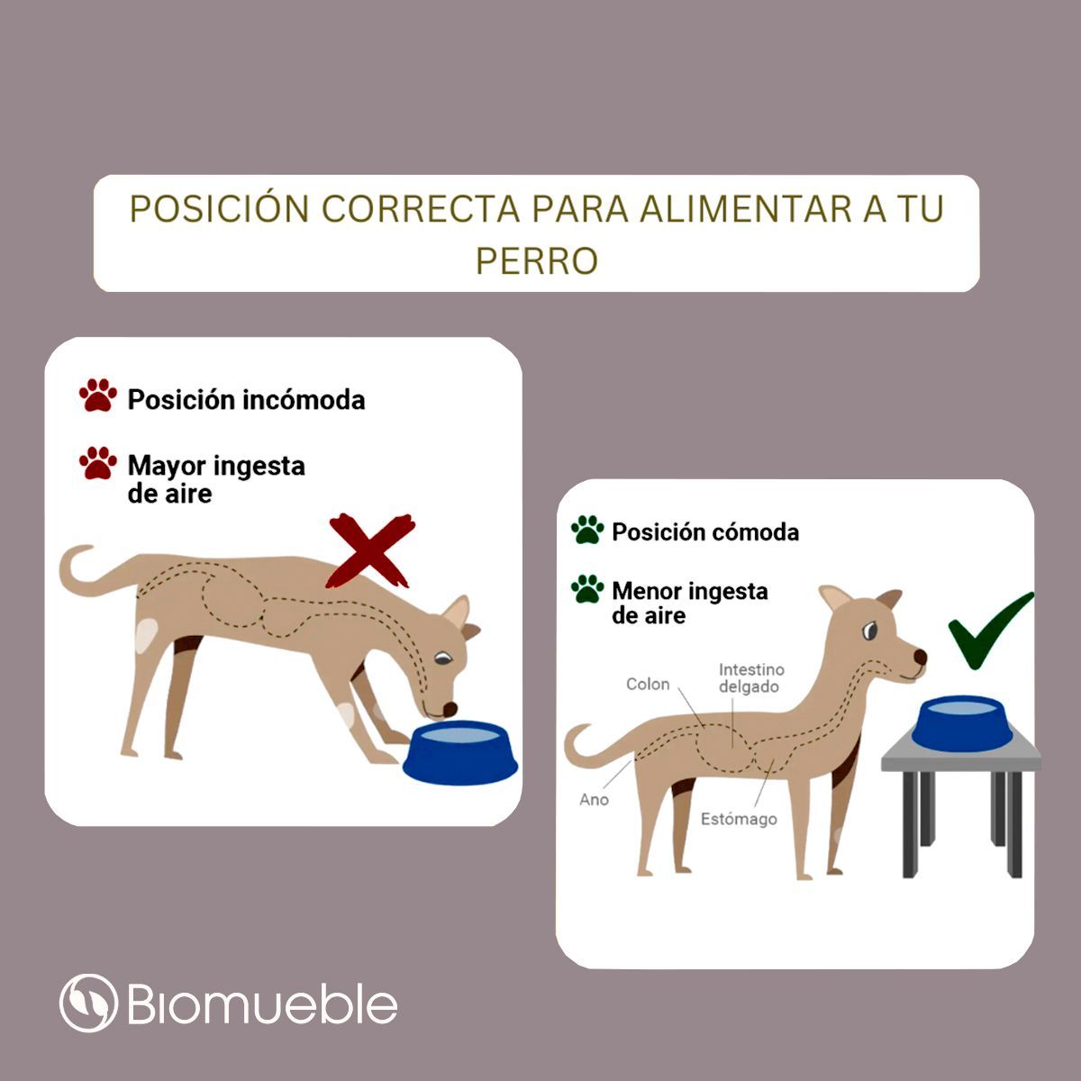 GENERICO - Comedero para mascota de madera de palets reciclado Talla L