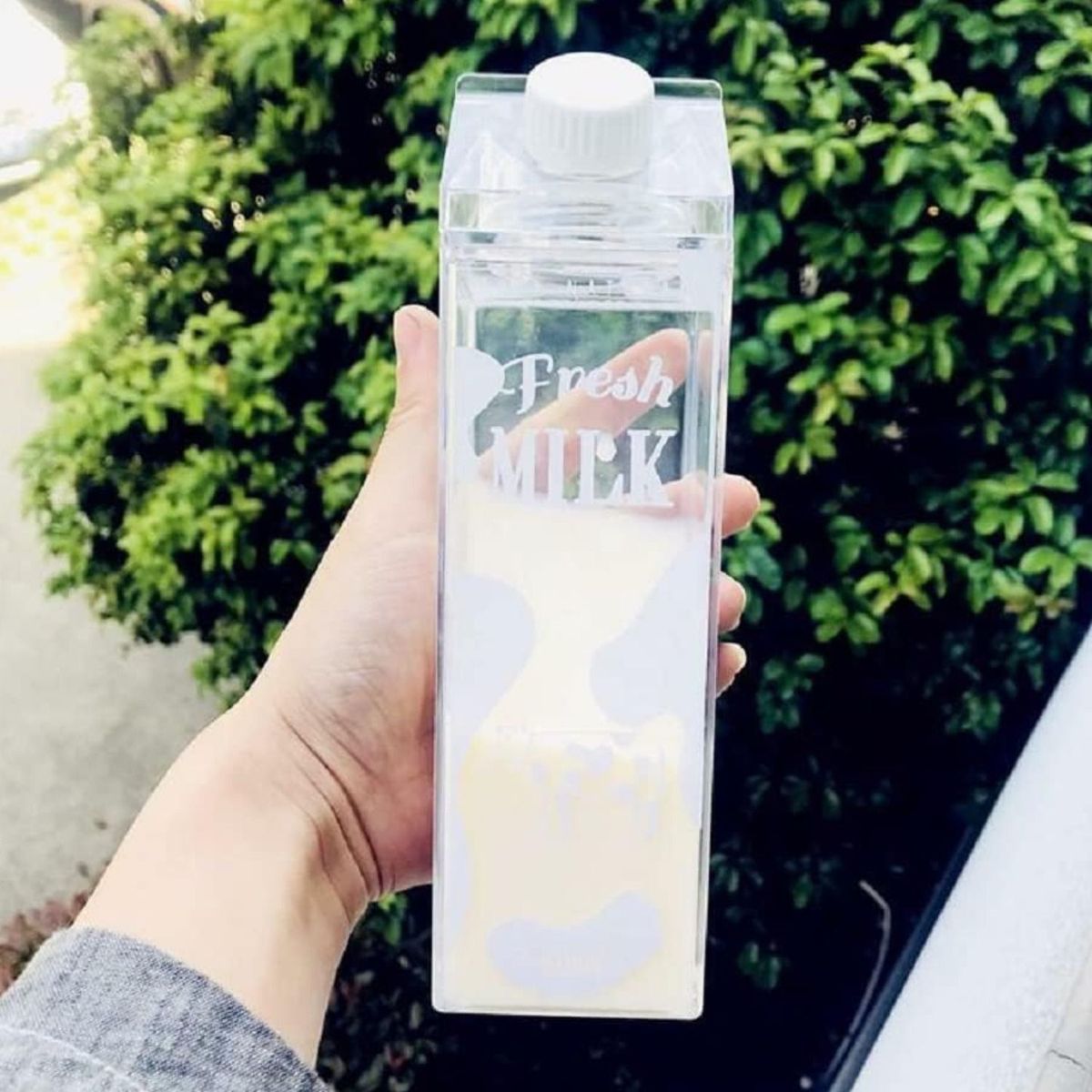 GENERICO - BOTELLA  CONSERVADORA DE LECHE 1LT