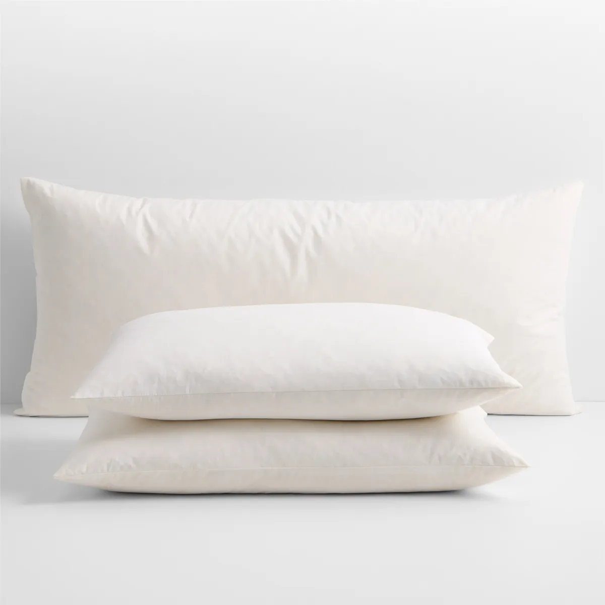 CRATE & BARREL - Relleno De Cojín Plumas 61x41cm
