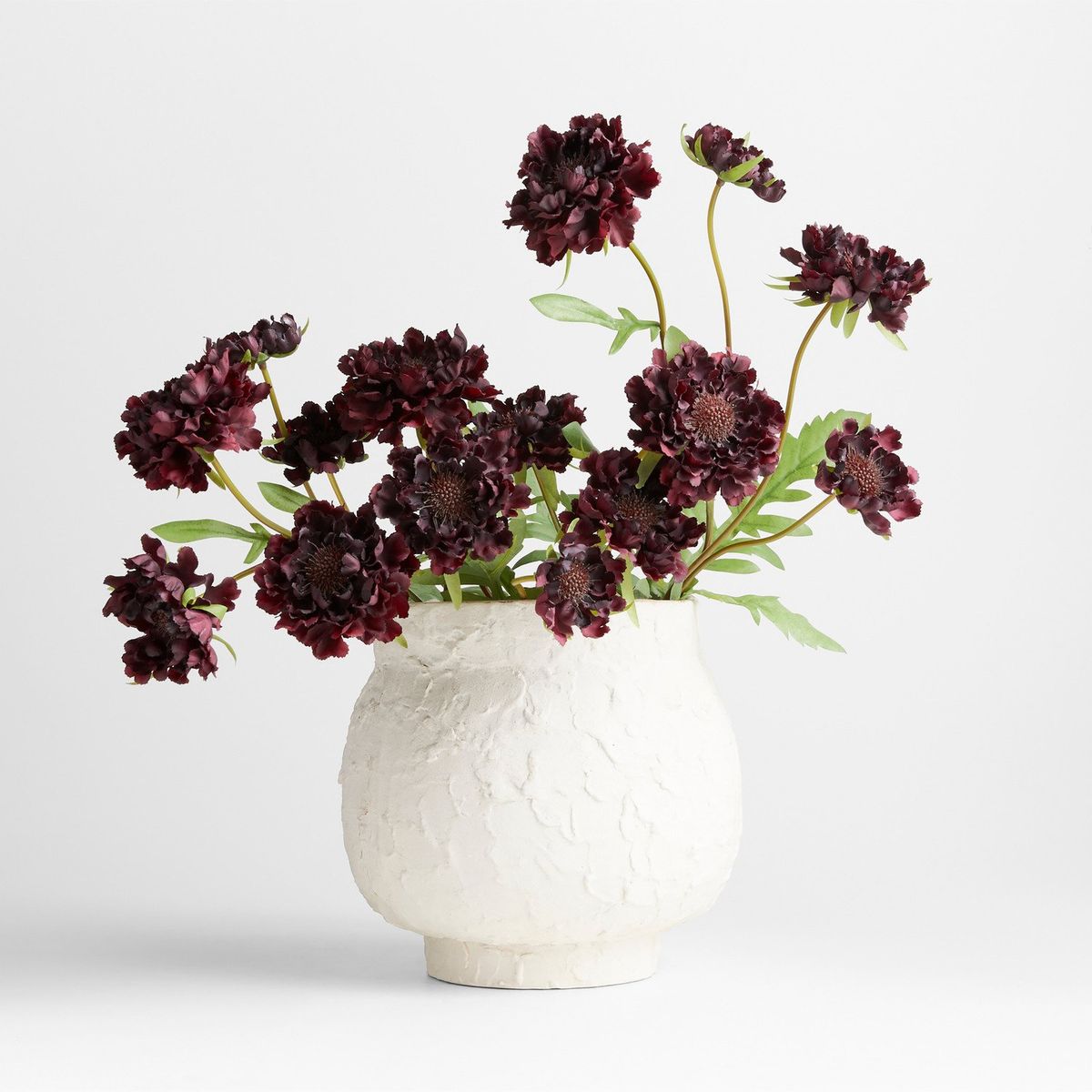 CRATE & BARREL - Rama Flor Scabiosa 61cm