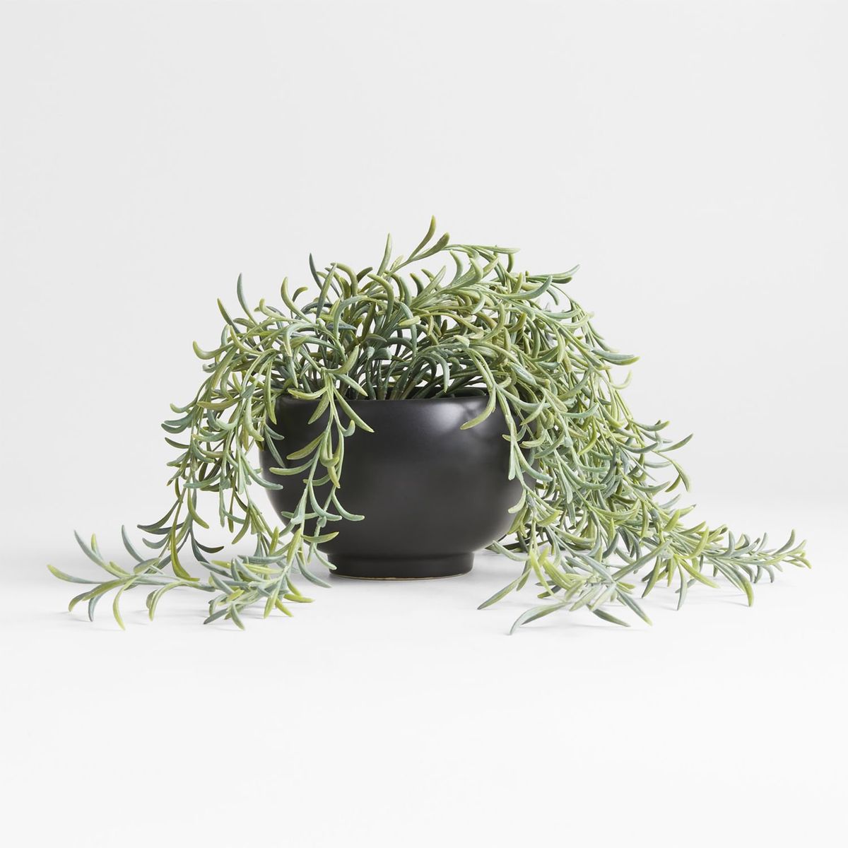 CRATE & BARREL - Anzuelos Artificial Verde En Maceta Negra