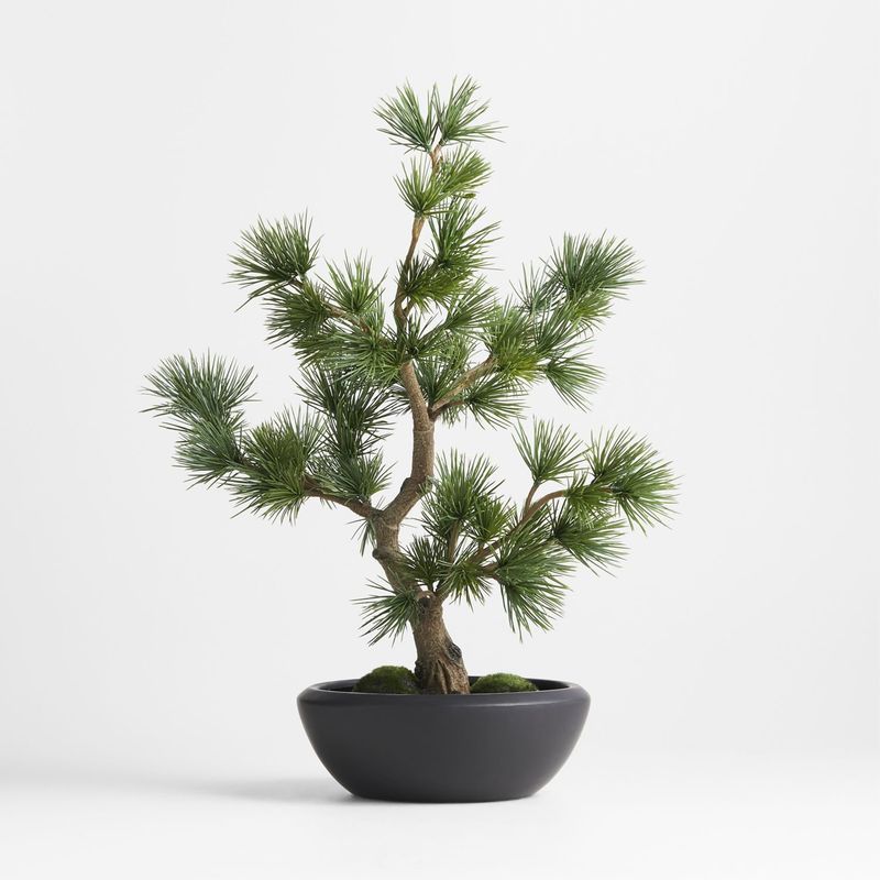 CRATE & BARREL - Bonsái De Pino Artificial En Maceta Negra