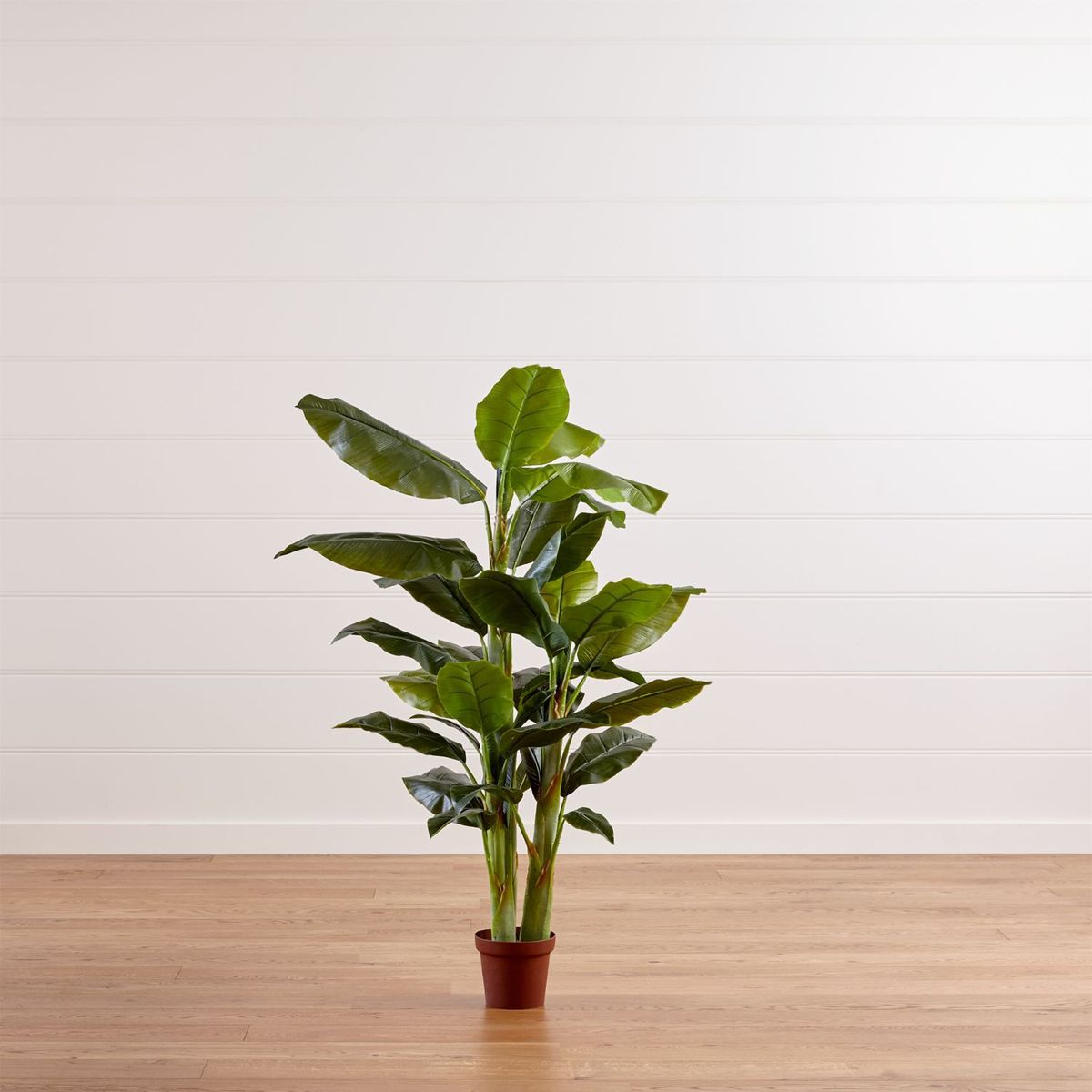 CRATE & BARREL - Árbol de Banano Artificial en Base