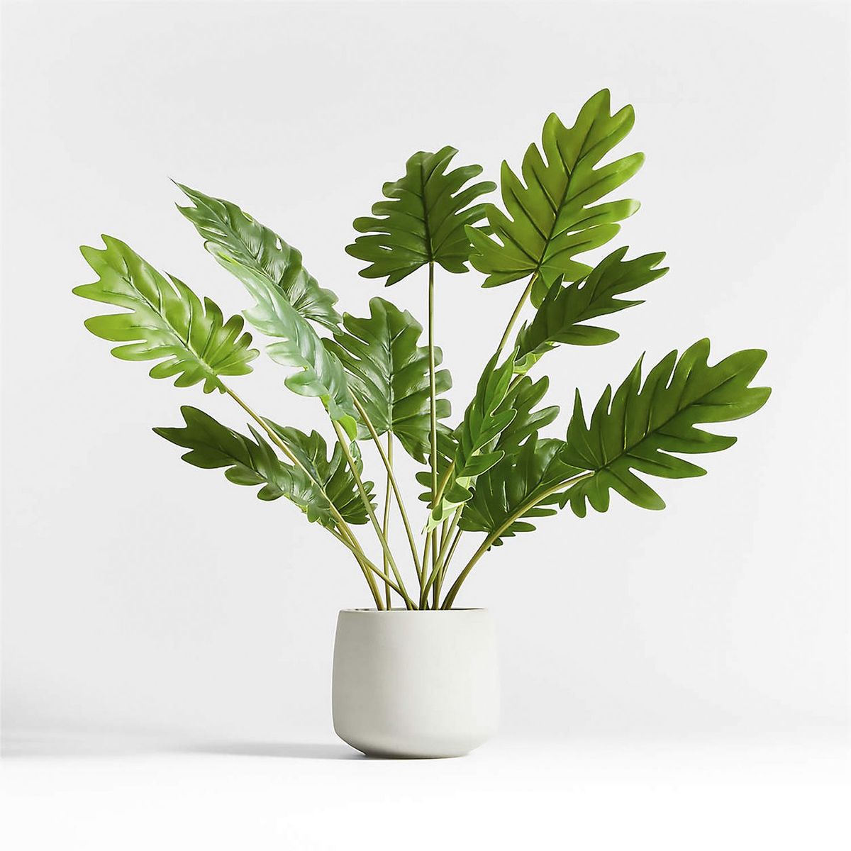 CRATE & BARREL - Planta Filodendro Artificial con Maceta 61cm