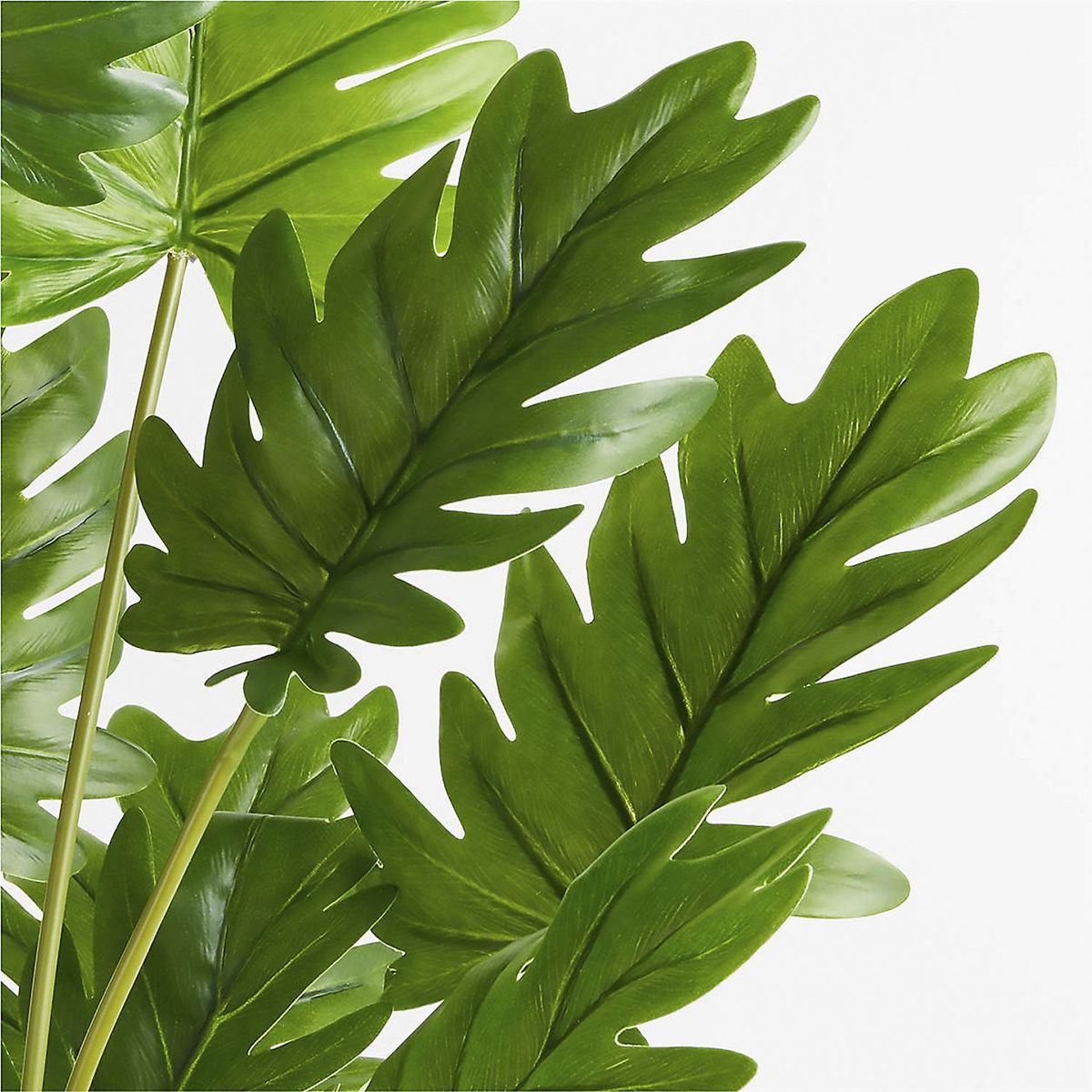 CRATE & BARREL - Planta Filodendro Artificial con Maceta 61cm