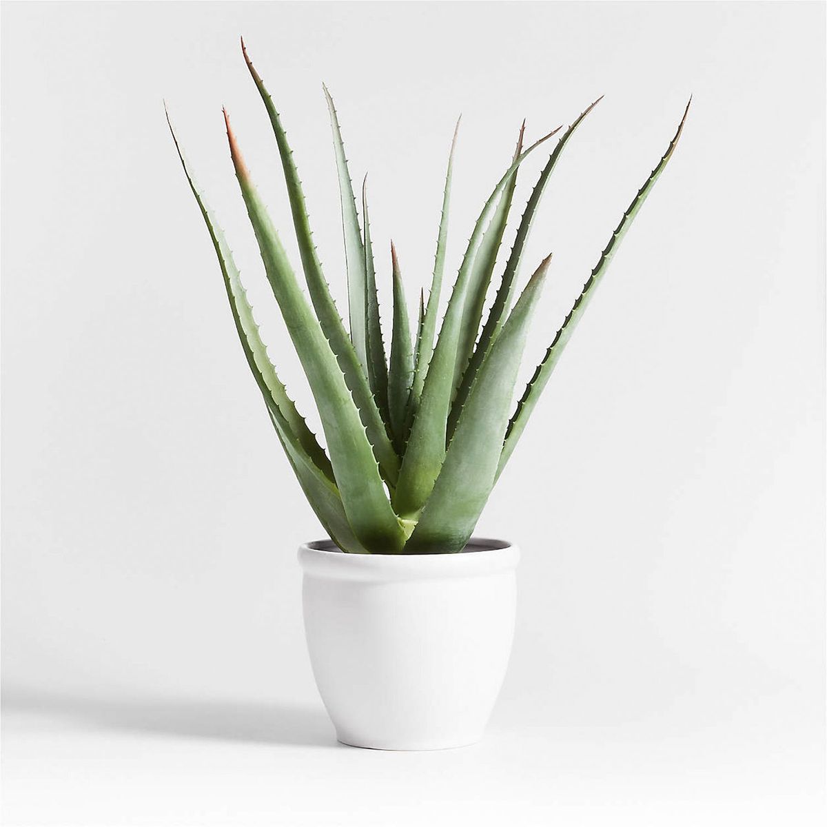 CRATE & BARREL - Planta de Sisal Artificial con Maceta