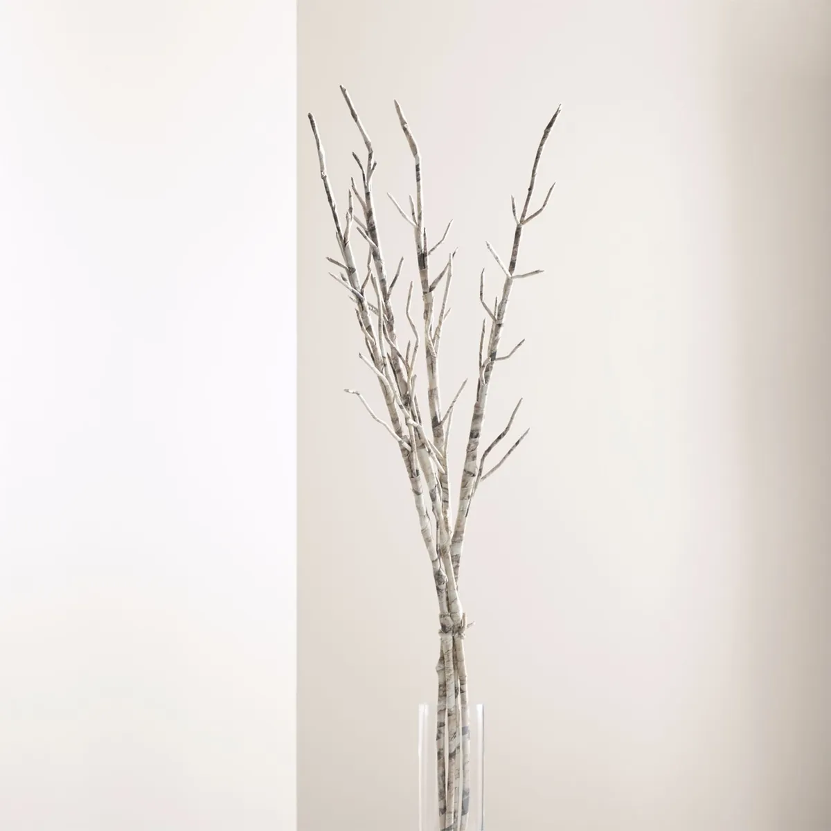 CRATE & BARREL - Set de 4 Ramas Flor Abedul 114cm