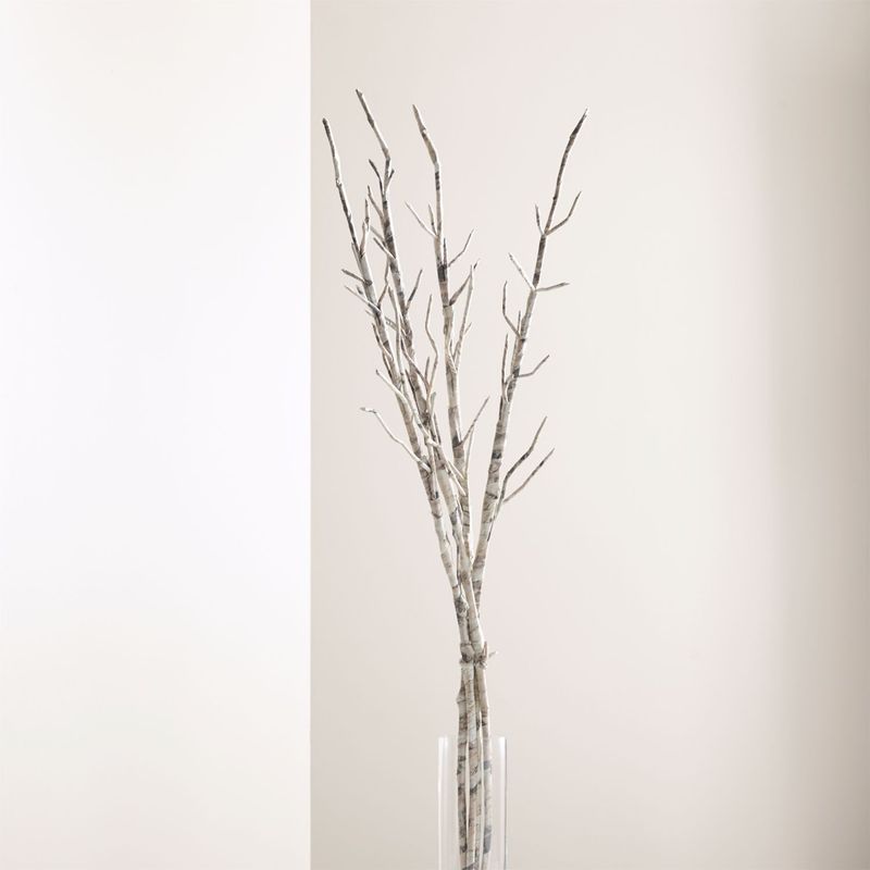 CRATE & BARREL - Set de 4 Ramas Flor Abedul 114cm