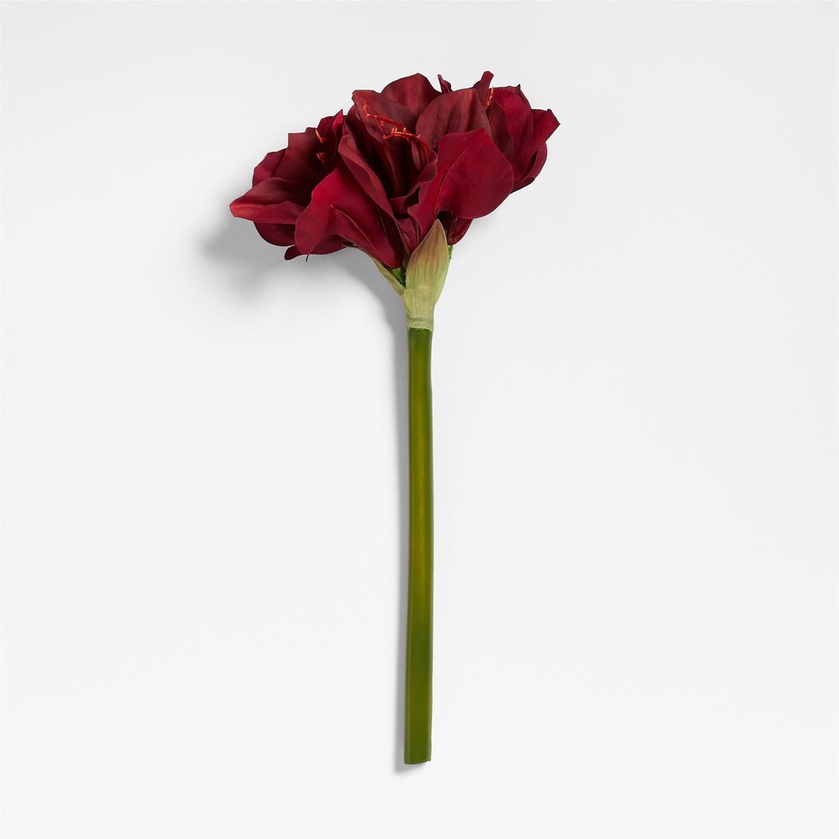 CRATE & BARREL - TALLO AA AMARILIS ROJO 18in