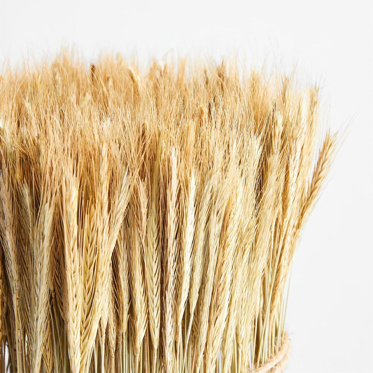 CRATE & BARREL - Manojo de Trigo Cuadrado Decorativo