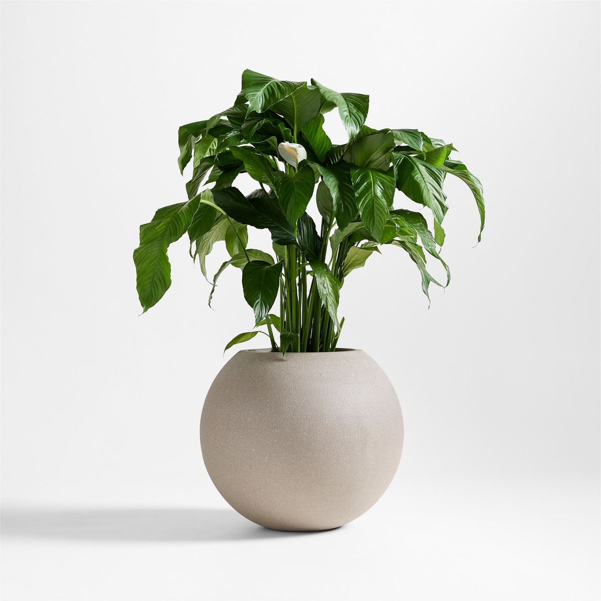 CRATE & BARREL - Maceta Sphere 57cm