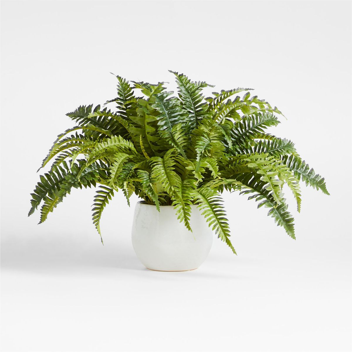 CRATE & BARREL - Planta Helecho Artificial