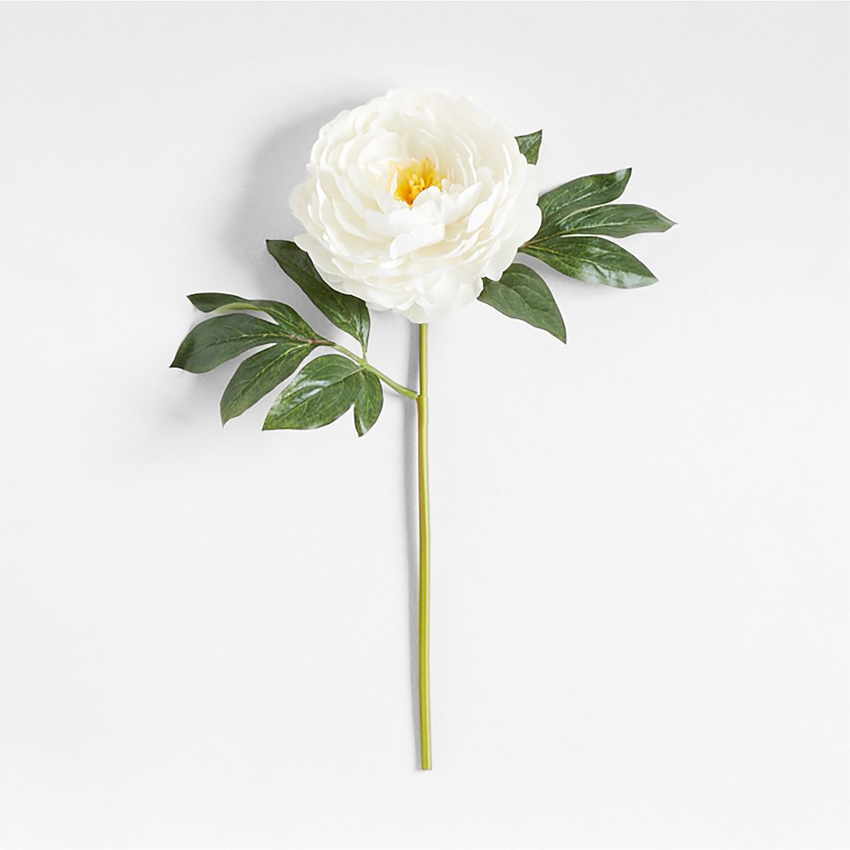 CRATE & BARREL - Rama Flor Peony By Abigail Ahern 61cm