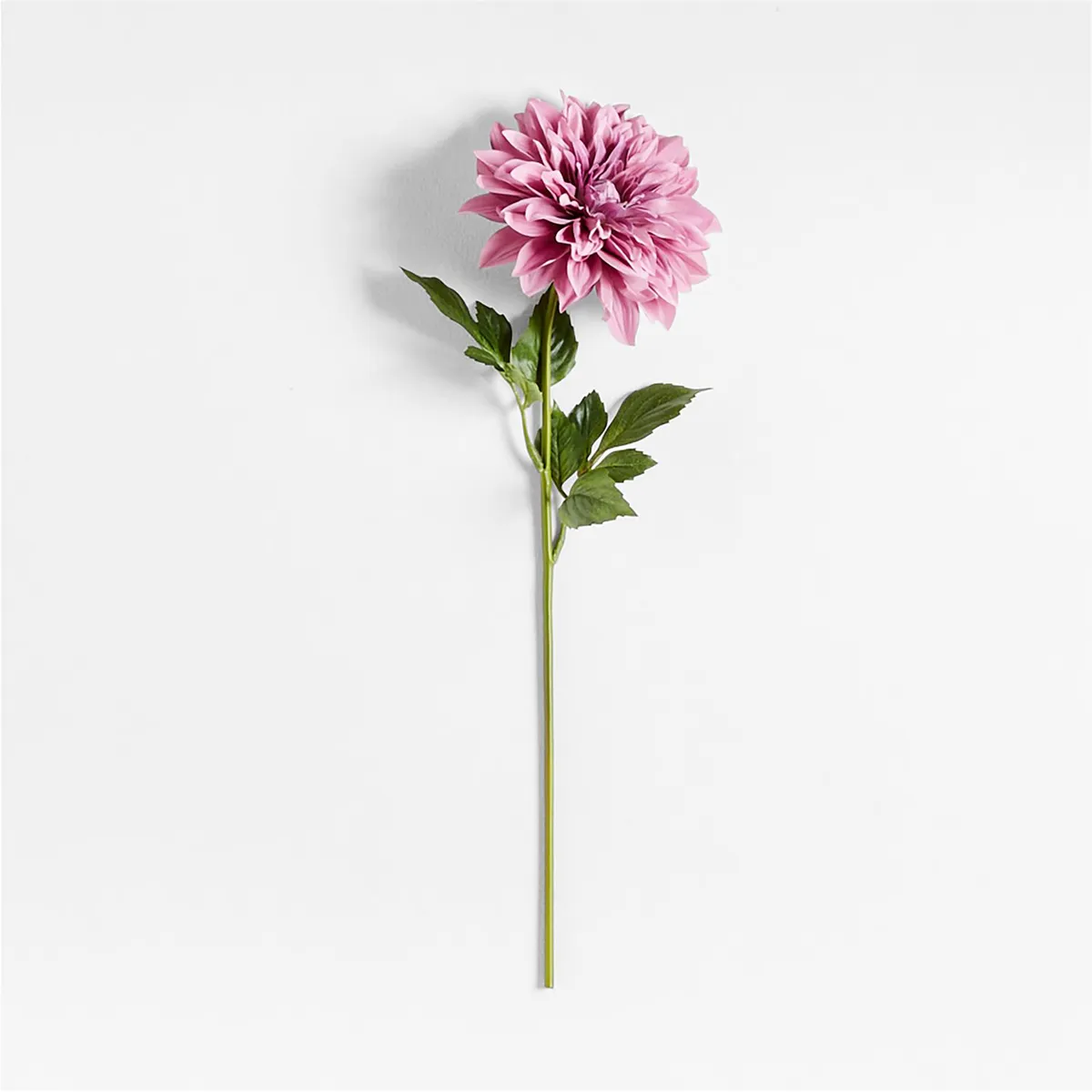 CRATE & BARREL - Rama Flor Dahlia By Abigail Ahern 61cm