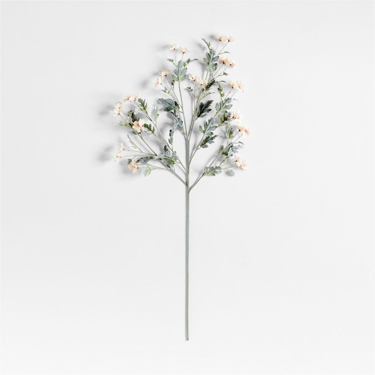 CRATE & BARREL - Rama Flor Peach Cosmo By Abigail Ahern 102cm