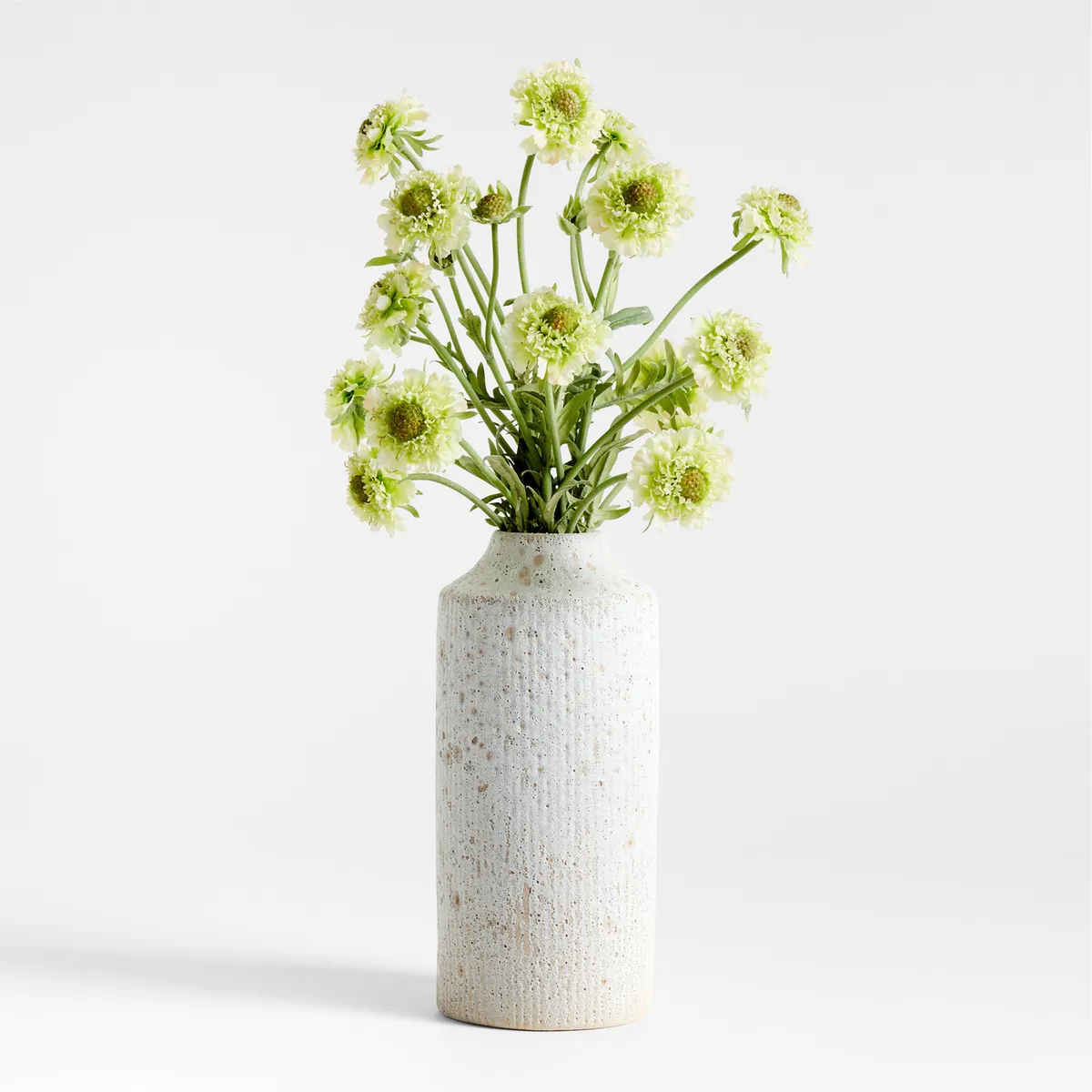 CRATE & BARREL - Rama Flor Scabiosa By Abigail Ahern 61cm