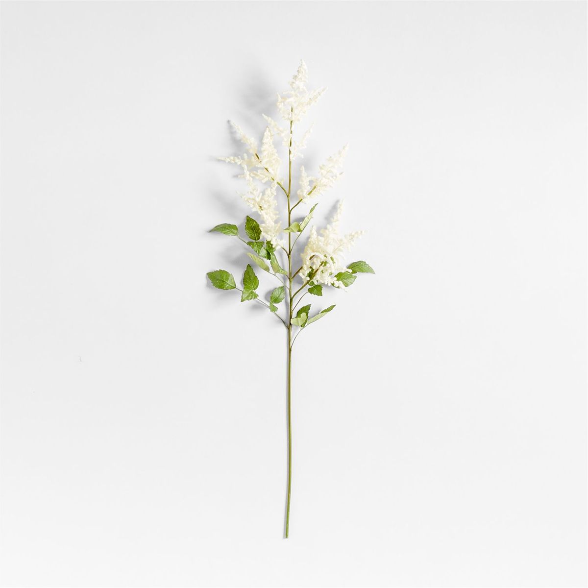 CRATE & BARREL - Rama Astilbes By Abigail Ahern 102cm