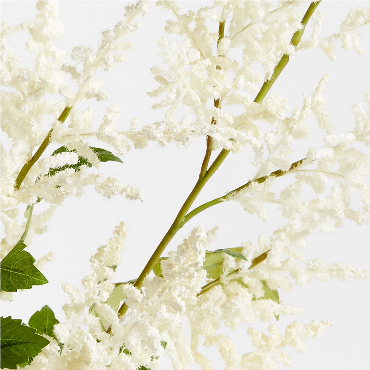 CRATE & BARREL - Rama Astilbes By Abigail Ahern 102cm