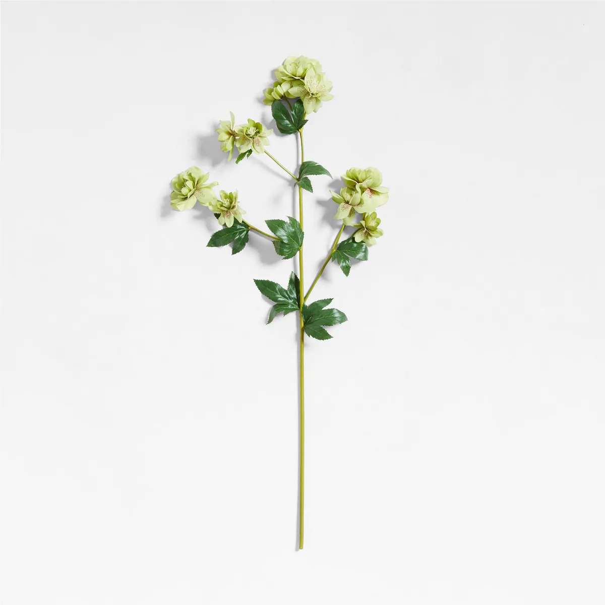 CRATE & BARREL - Rama Flor Rose By Abigail Ahern 91cm