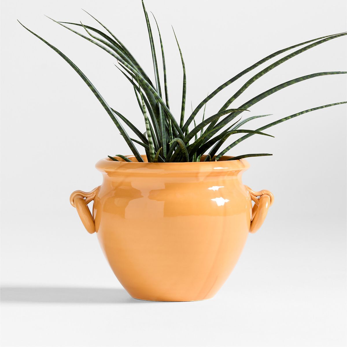 CRATE & BARREL - Jarrón Genoa