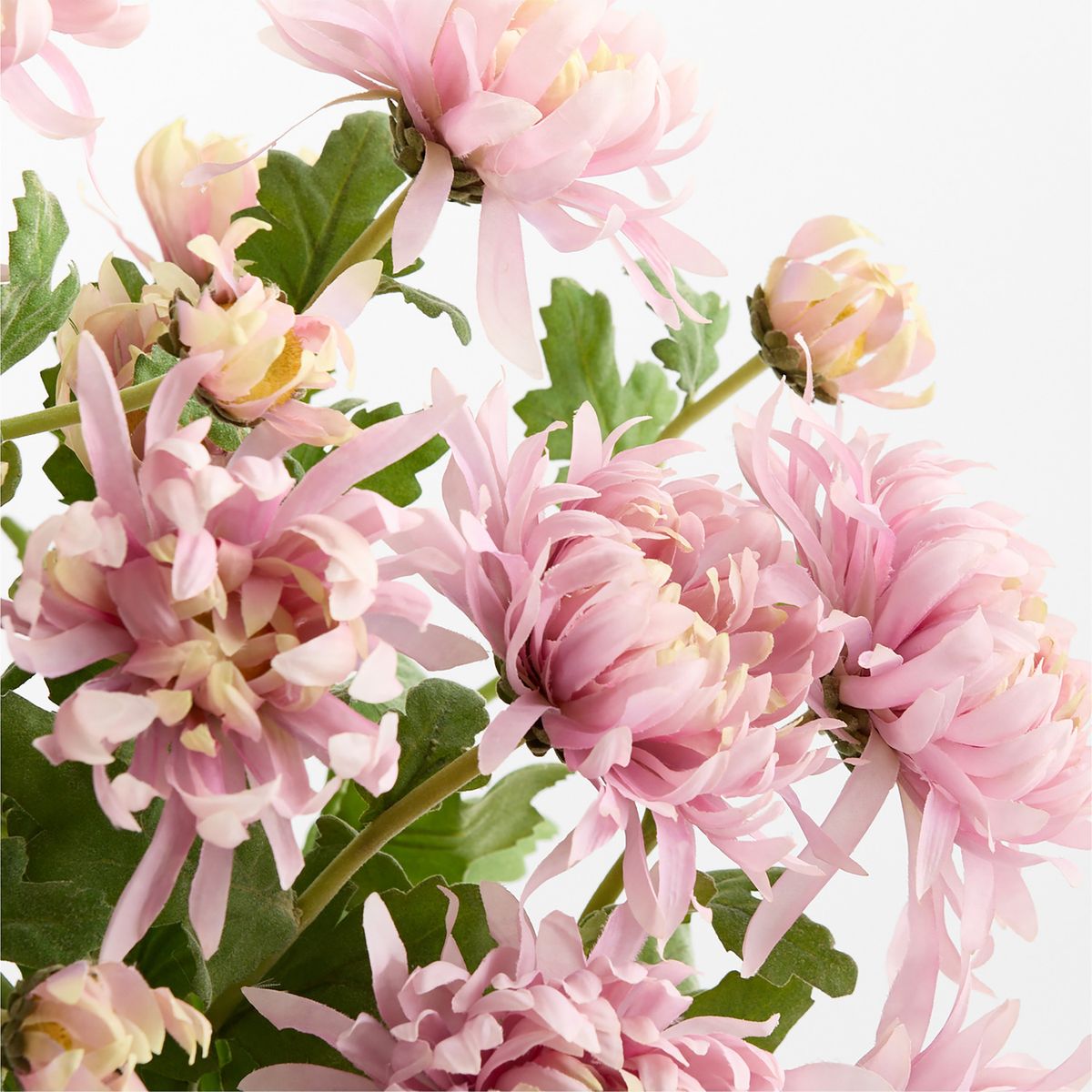 CRATE & BARREL - Rama Flor Crisantemo Lilac 79cm