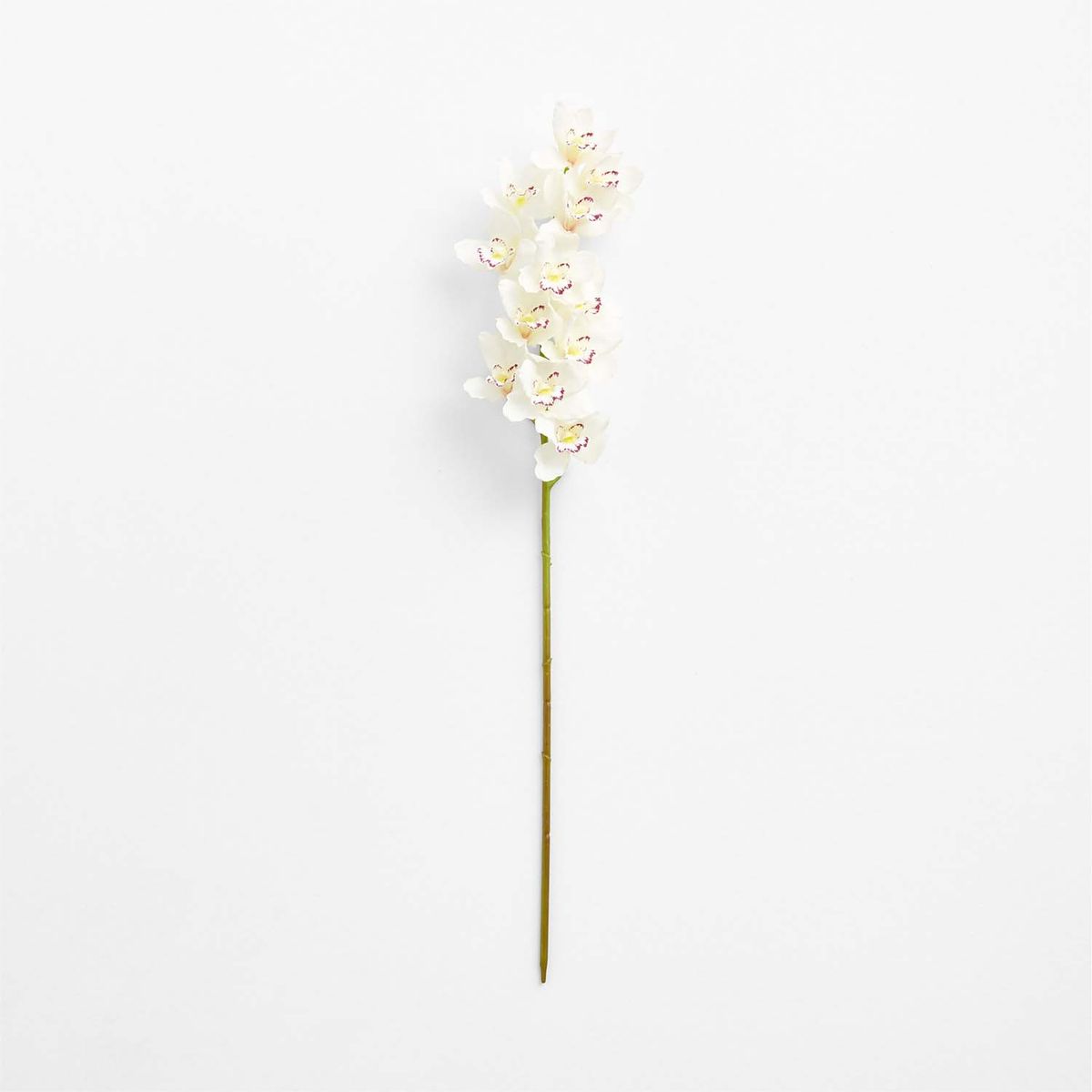 CRATE & BARREL - Rama Flor Orquídea Blanca 104cm
