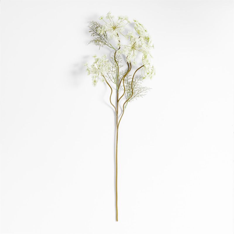 CRATE & BARREL - Rama Flor Queen Anne's Lace 109cm